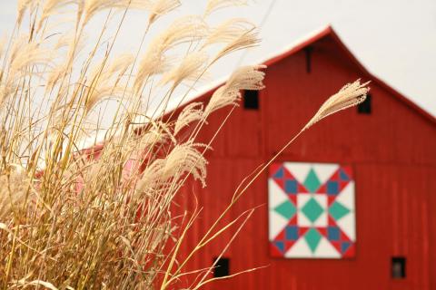 barnquilt